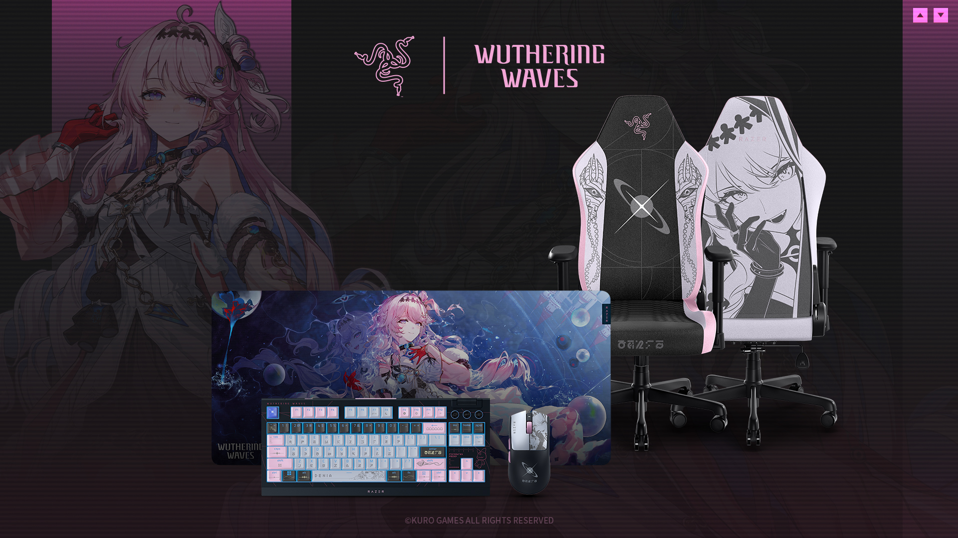 Razer Wuthering Waves periféricos edición especial