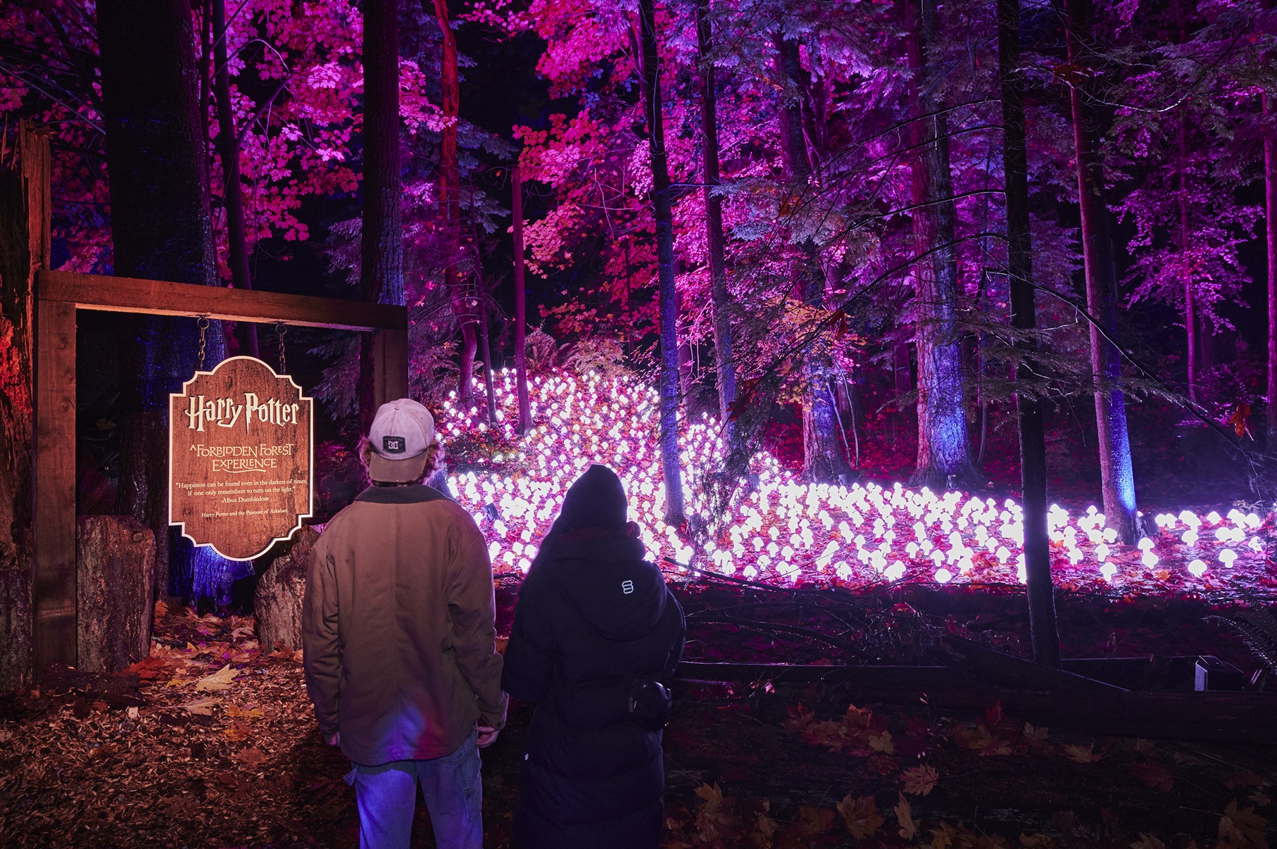 Sendero iluminado del Bosque Prohibido de Harry Potter en el Parque Naucalli, Ciudad de México 2026